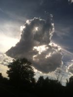 Heart In The Clouds